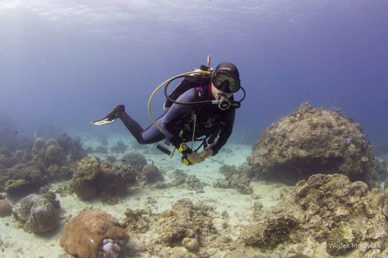 Liquid Dumaguete: Philippines Dive Resort - PADI 5 Star CDC Dive Center