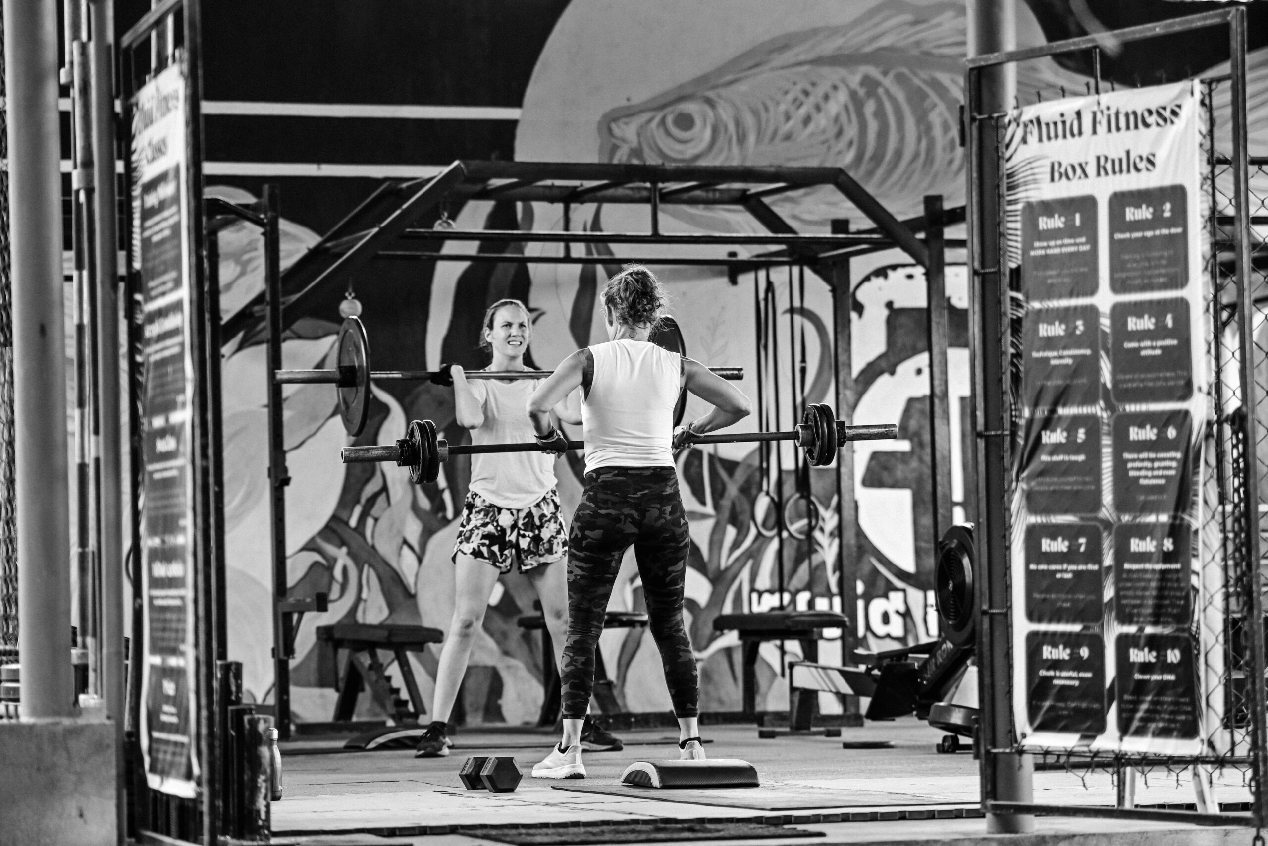 ZZ.fluid fitness (2)